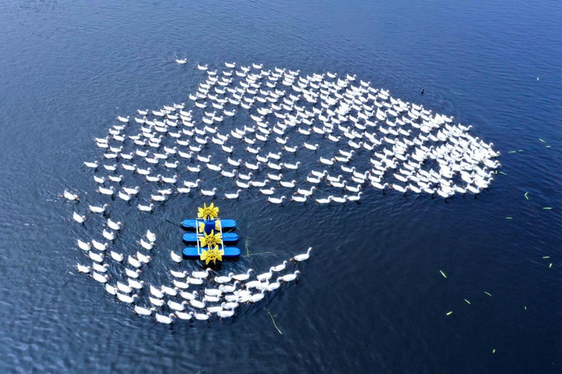 浙江省の農(nóng)村「デジタルスマート観光」事業(yè)を開始