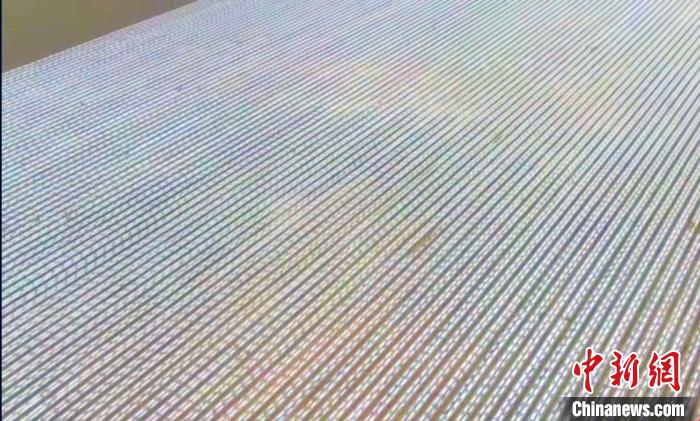 完全な機(jī)械化で種まき進(jìn)める新疆ウイグル自治區(qū)の広大な綿花畑