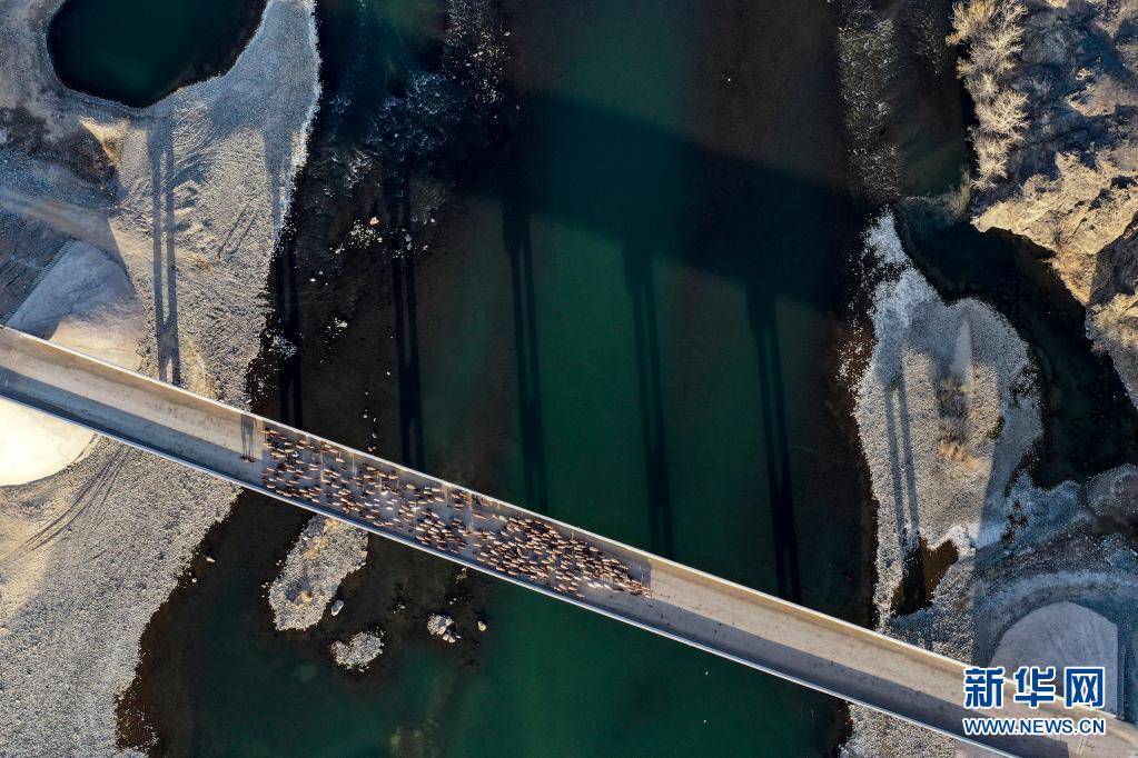 春営地への移動シーズン迎えた牧畜民　新疆