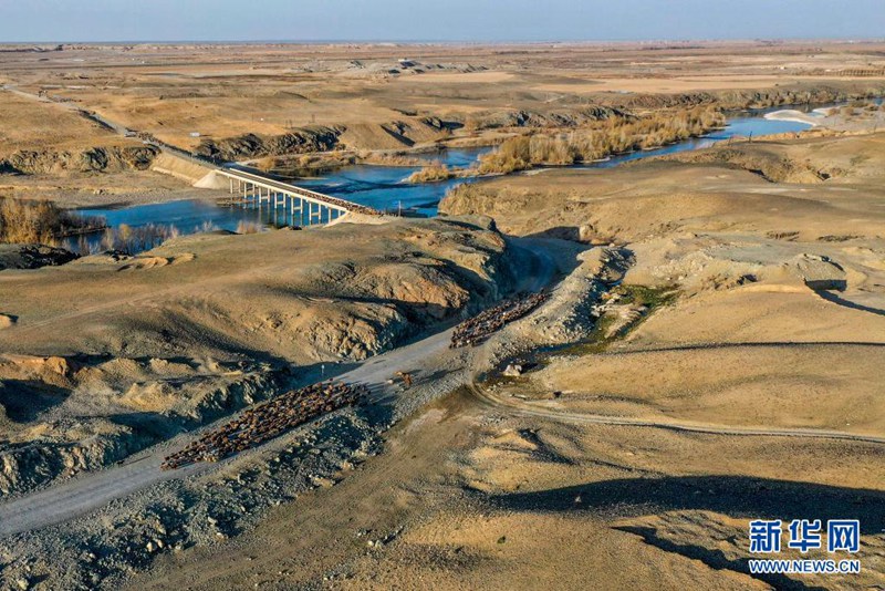 春営地への移動(dòng)シーズン迎えた牧畜民　新疆