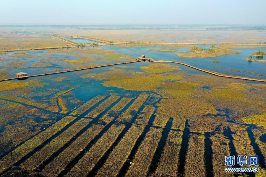 活き活きと躍動する未來都市　河北省雄安新區(qū)
