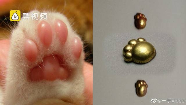 キュートな出土品？ネコ足型の金の裝飾品発見　山西省