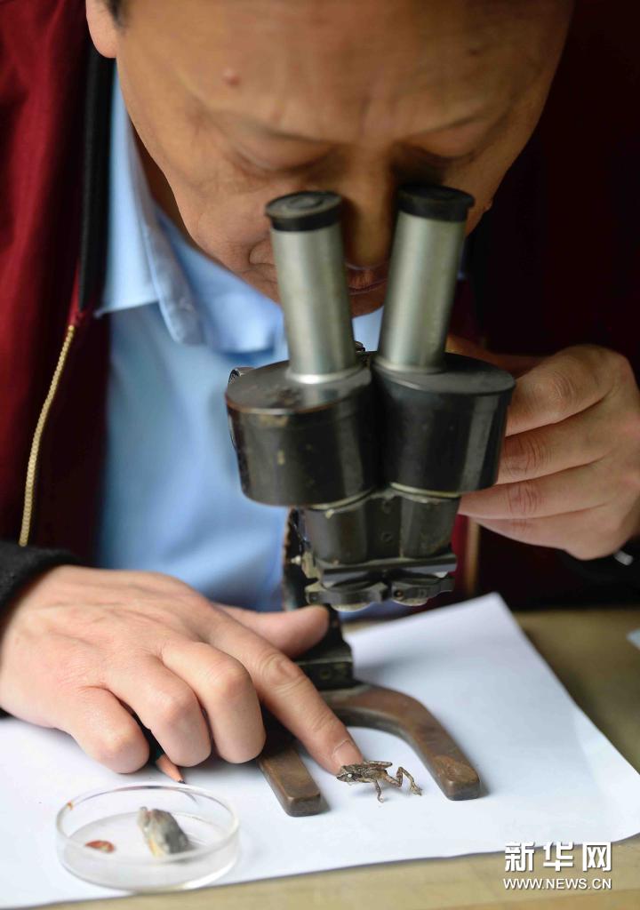 科學的な正確さ追求し、描き続けたイラスト1000點以上　