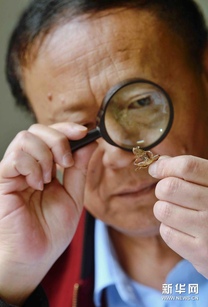 科學(xué)的な正確さ追求し、描き続けたイラスト1000點(diǎn)以上　