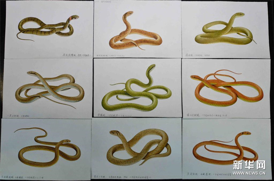 科學(xué)的な正確さ追求し、描き続けたイラスト1000點以上　