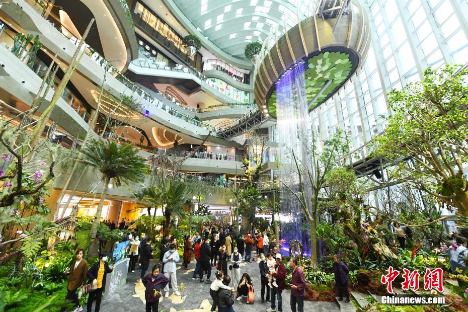 マジカルな原始林が重慶の商業(yè)施設に登場