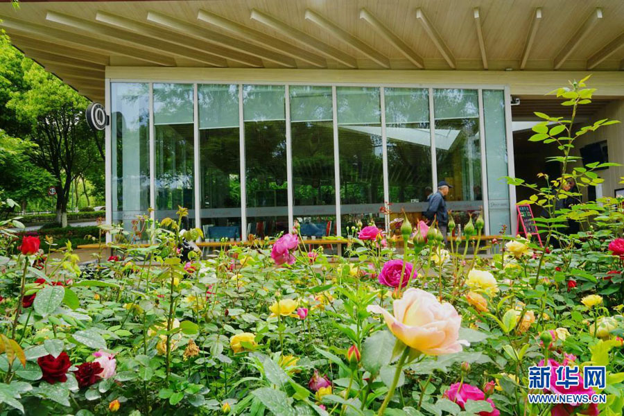 公衆(zhòng)トイレが「街のステーション」へと華麗に変身　浙江省嘉興