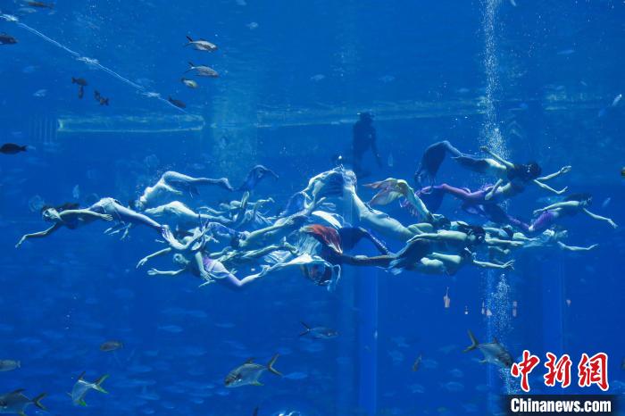 「最大規(guī)模のマーメイドショー」がギネス世界記録に認(rèn)定　海南省三亜