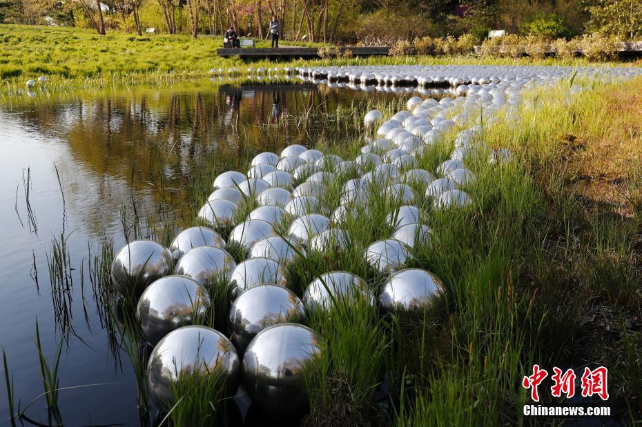 「ナルシスの庭」を鑑賞する市民（撮影?廖攀）。