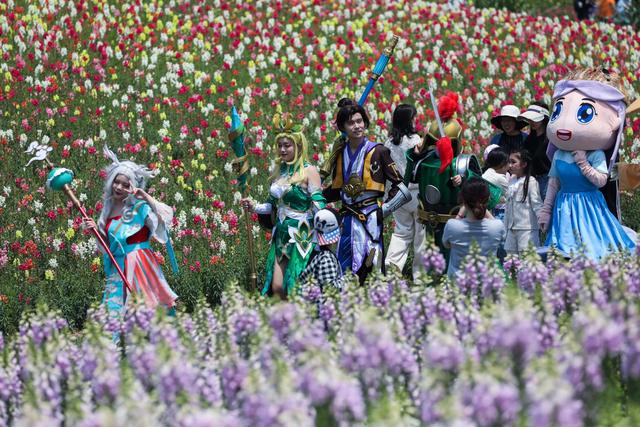 杭州の花畑でアニメカーニバル開(kāi)催