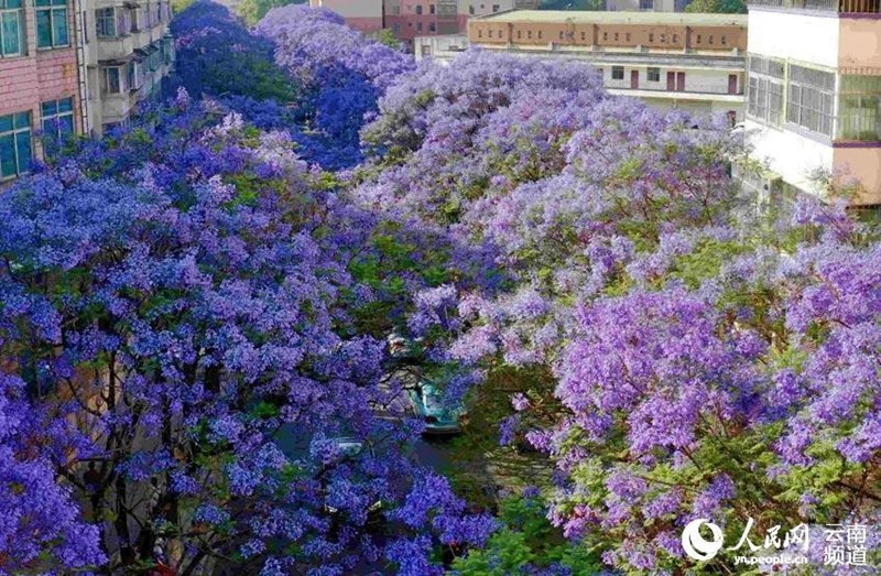 メーデー連休、中國の國內(nèi)観光収入は約1.9兆円に