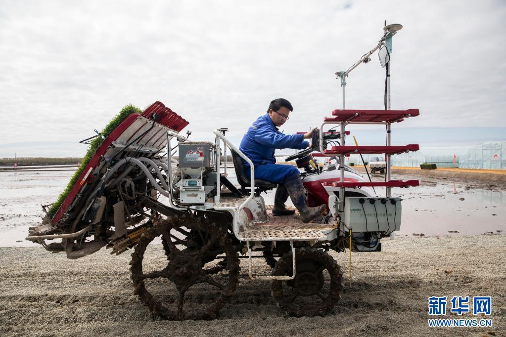 北斗衛(wèi)星測位システム、黒竜江省の自動(dòng)運(yùn)転田植機(jī)をサポート