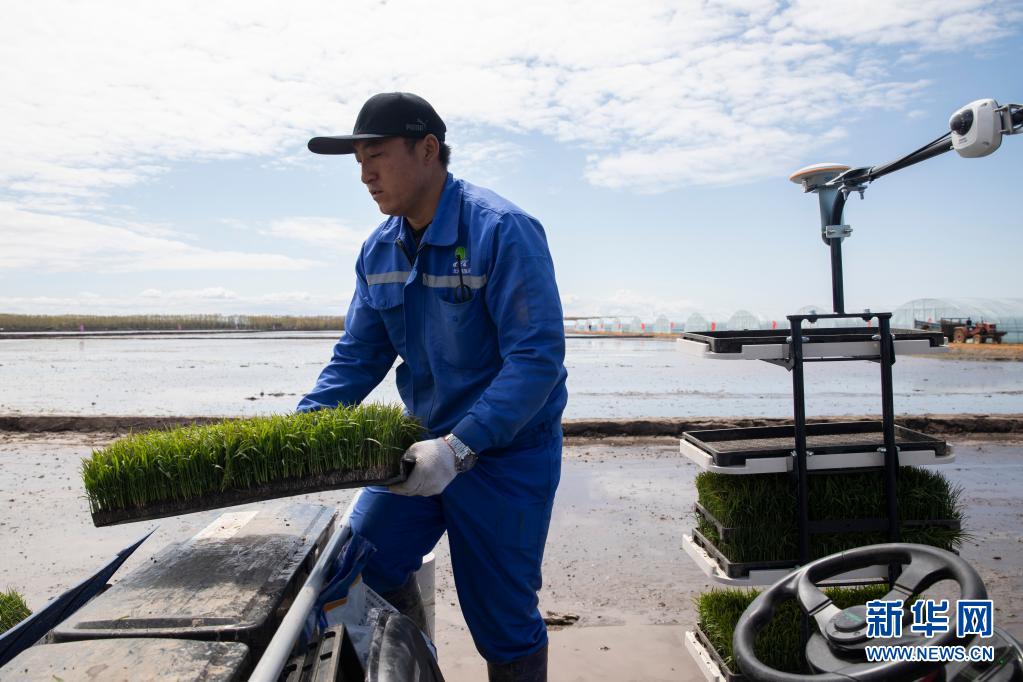 北斗衛(wèi)星測(cè)位システム、黒竜江省の自動(dòng)運(yùn)転田植機(jī)をサポート