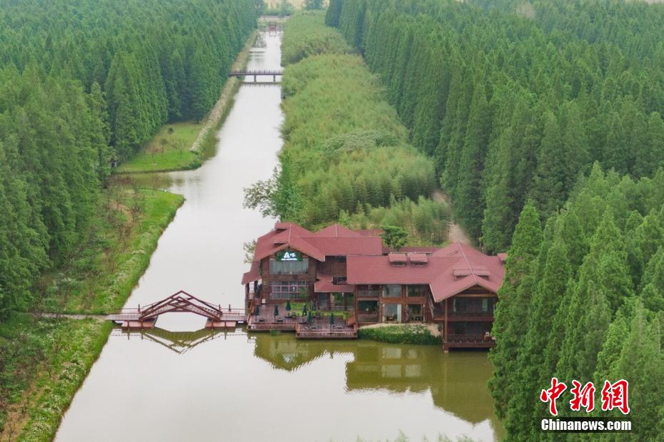 江蘇省東臺(tái)黃海森林公園を上空から撮影