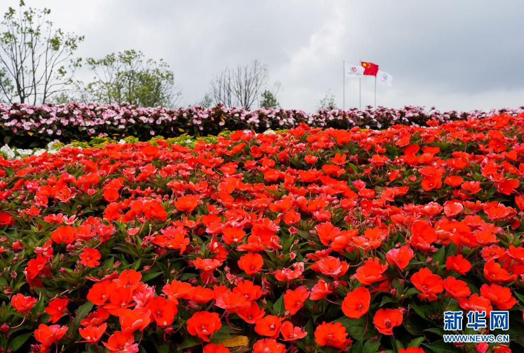 第10回中國花卉博覧會が開幕　上海