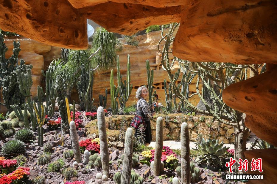 第10回中國花卉博覧會で「不思議な植物」を見よう