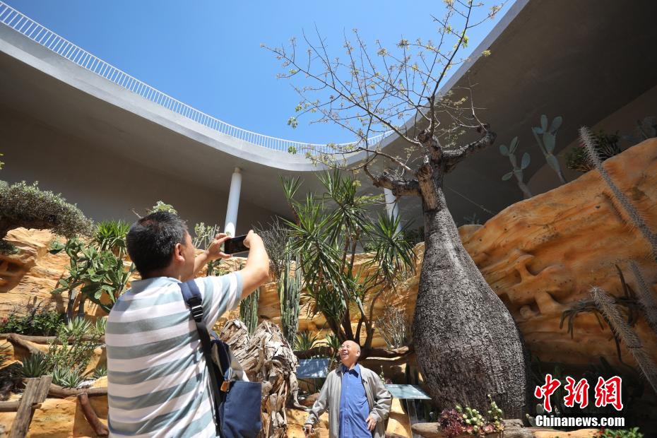 第10回中國花卉博覧會で「不思議な植物」を見よう