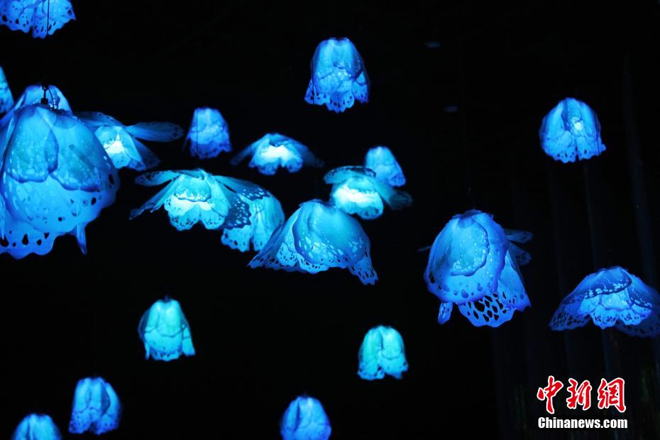 沒入型體験で一風(fēng)変わった楽しさ味わう花博會(huì)