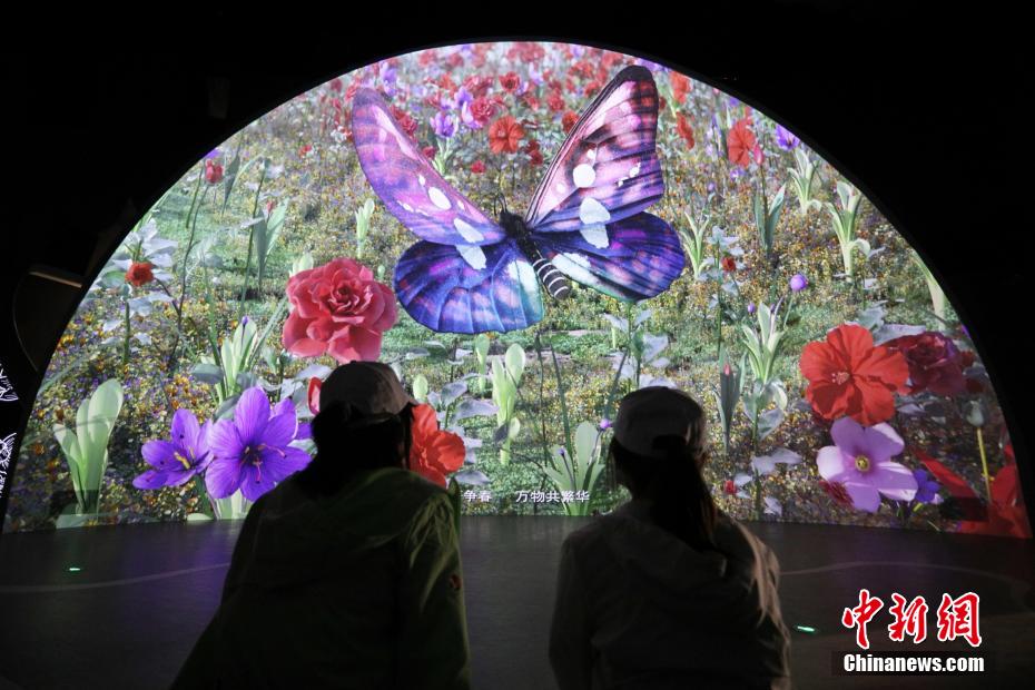 デジタル技術(shù)によるバーチャルの世界を楽しむ來(lái)場(chǎng)者（撮影?張亨偉）。