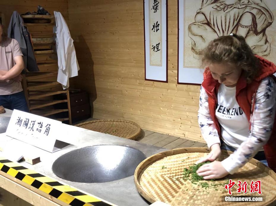 外國(guó)人20人が茶農(nóng)家體験　湖南省長(zhǎng)沙