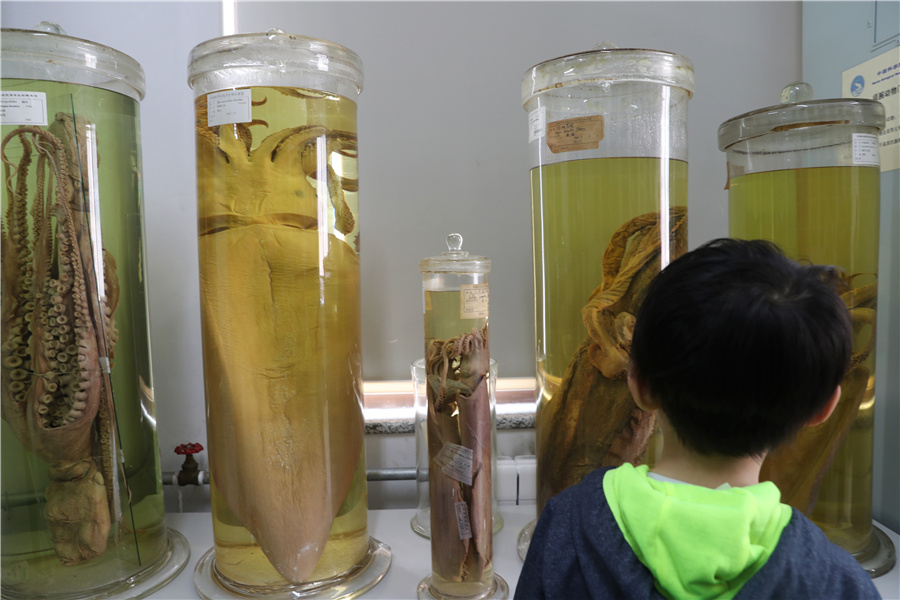 青島でテクノロジーの魅力を?qū)g感