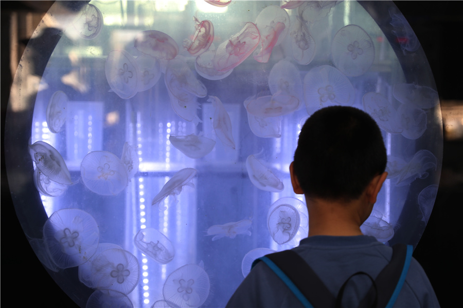 青島でテクノロジーの魅力を?qū)g感