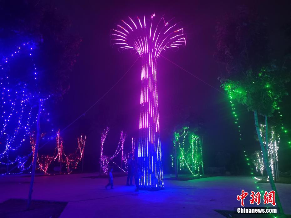 瞬くイルミネーションに照らされた現(xiàn)代農(nóng)業(yè)産業(yè)園　河南省