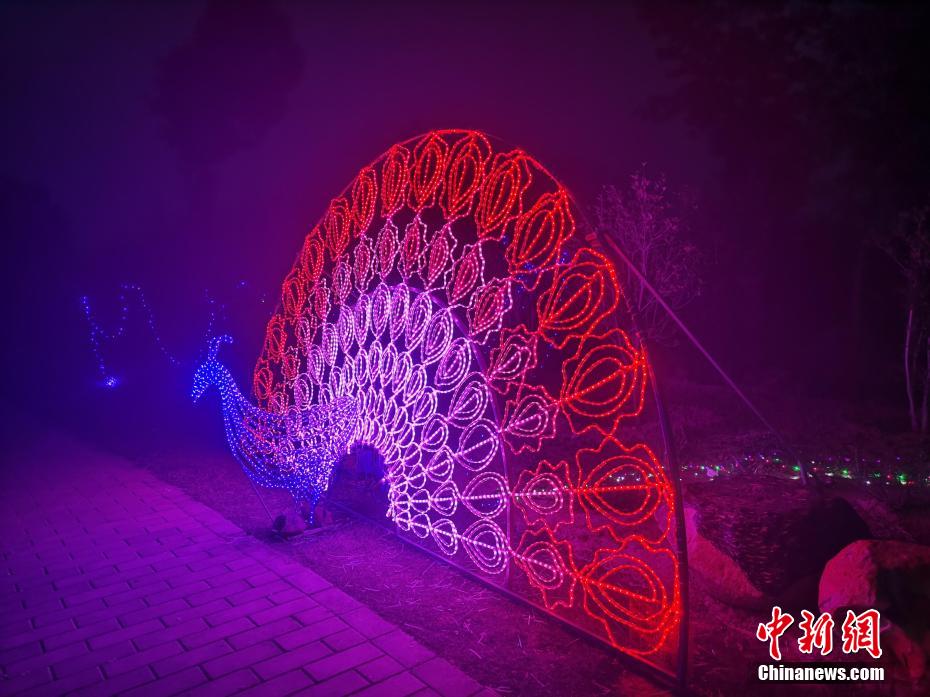 瞬くイルミネーションに照らされた現(xiàn)代農(nóng)業(yè)産業(yè)園　河南省