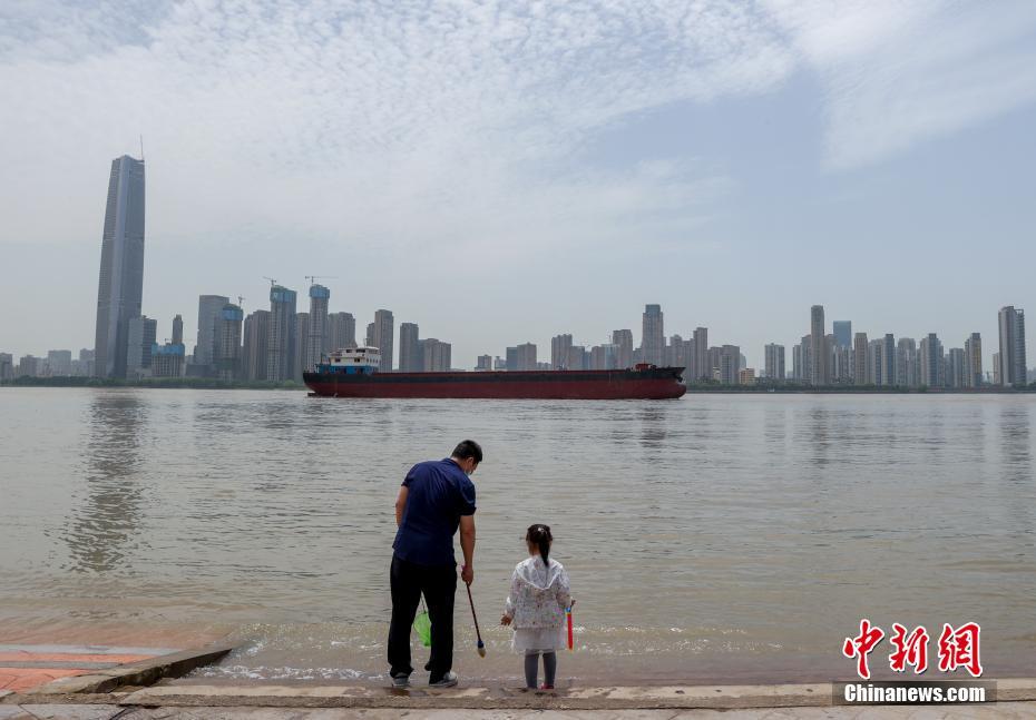 警戒レベルに近づく長(zhǎng)江武漢區(qū)間の水位　湖北省