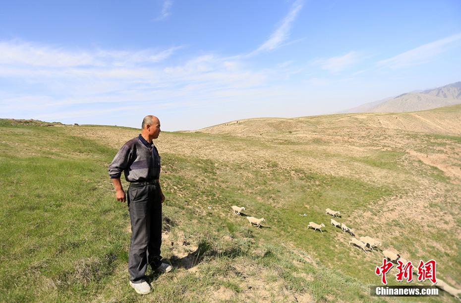 甘粛省のトレイルランニング大會(huì)事故で參加者6人を助けた羊飼い