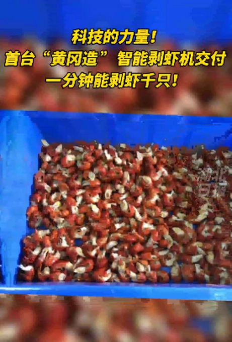 1分間で1000匹！スマートザリガニ加工マシンの「実力」