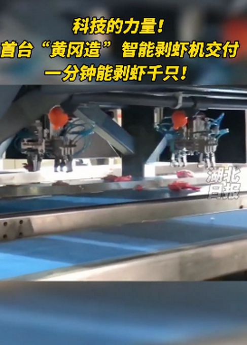 1分間で1000匹！スマートザリガニ加工マシンの「実力」