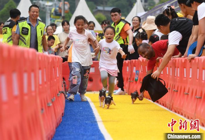 ミニブタと走ろう！ちびっこレース　重慶