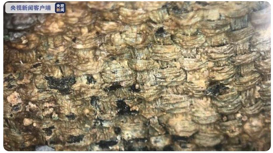 三星堆遺跡で最大の絹の殘留物見つかる　四川省