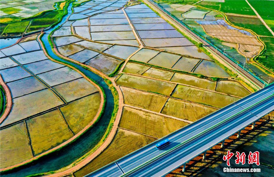 祁連山麓の色鮮やかな水田風(fēng)景　甘粛省