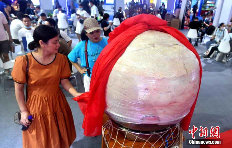 漁博會で公開された、重さ278.8キログラムの世界最大級の具入りつみれ団子（撮影?呂明）。