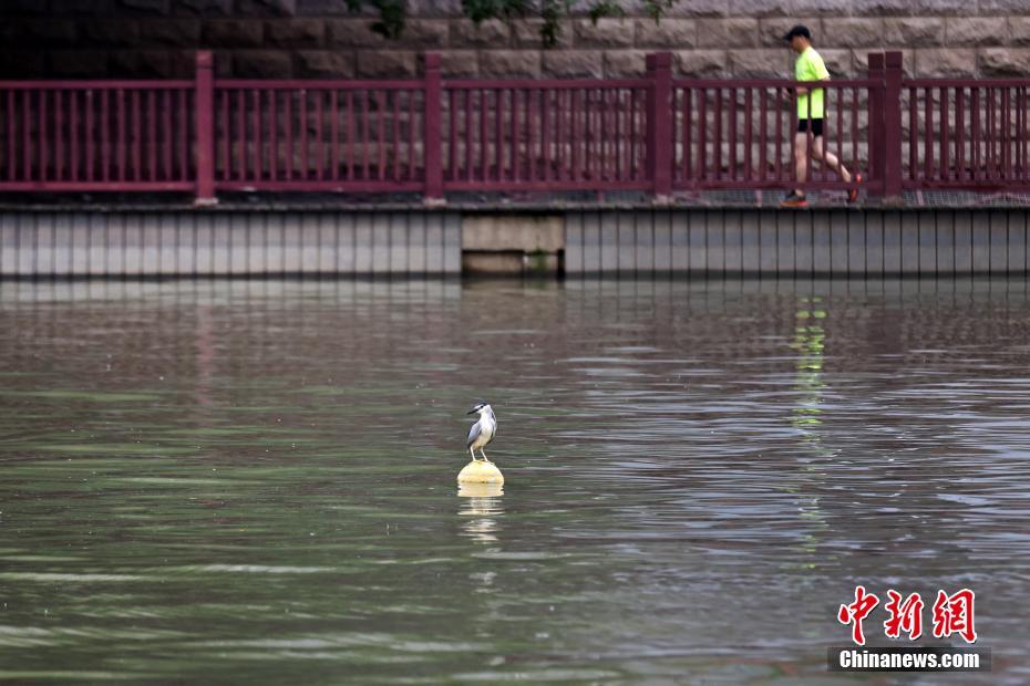 秦淮河の水位が上昇　江蘇省南京