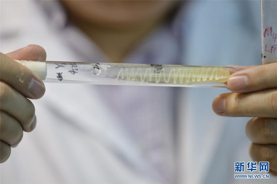 有機廃棄物の資源化利用、ゴミを?qū)殼?></a></td></tr><tr><td class=