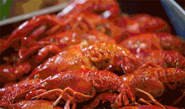 ザリガニ鑑定士の若者が6年間で食べたザリガニは十?dāng)?shù)トンに！