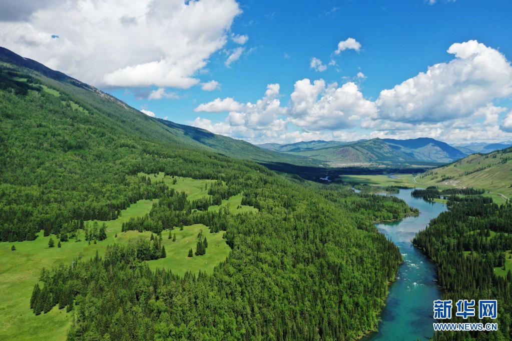 6月10日に撮影した新疆阿勒泰地區(qū)喀納斯景勝地の景色（ドローンによる撮影?沙達(dá)堤）。