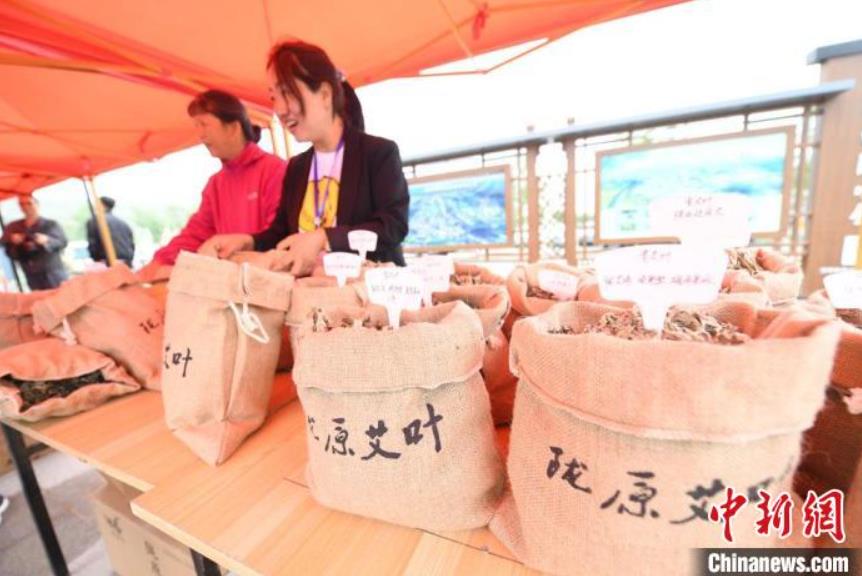 中醫(yī)薬に用いるヨモギでスイーツ作り　甘粛省蘭州