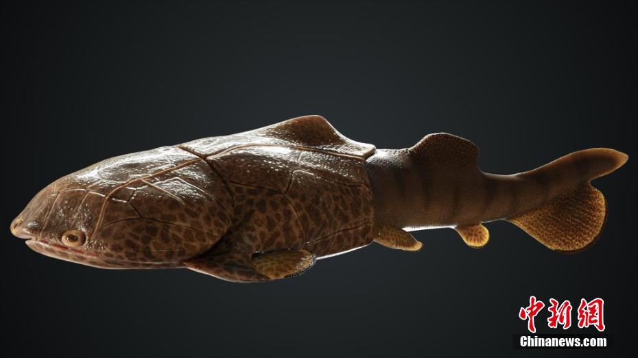 約4億2300萬年前の新種の魚類化石を発見　重慶