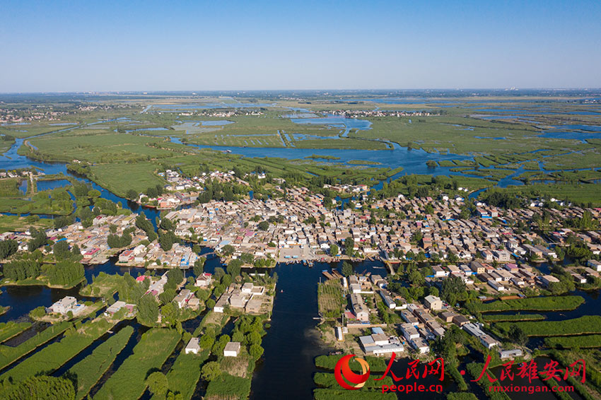 面目を一新させた雄安新區(qū)白洋淀景勝地　河北省