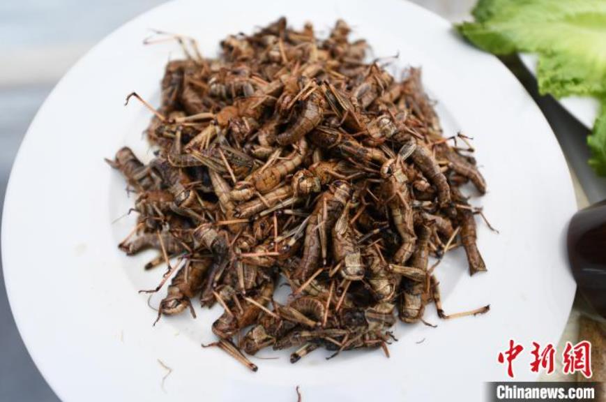 大學(xué)で「昆蟲の宴」　湖北省武漢