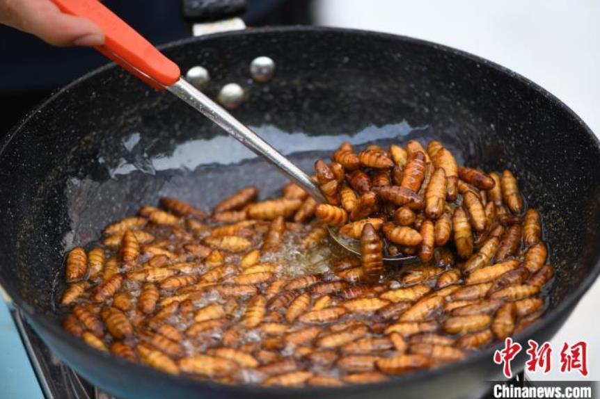 大學(xué)で「昆蟲の宴」　湖北省武漢