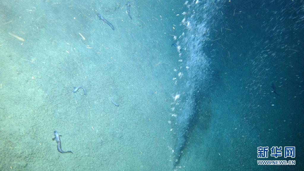 実験室を海底に運(yùn)ぶ科學(xué)調(diào)査船「科學(xué)」號