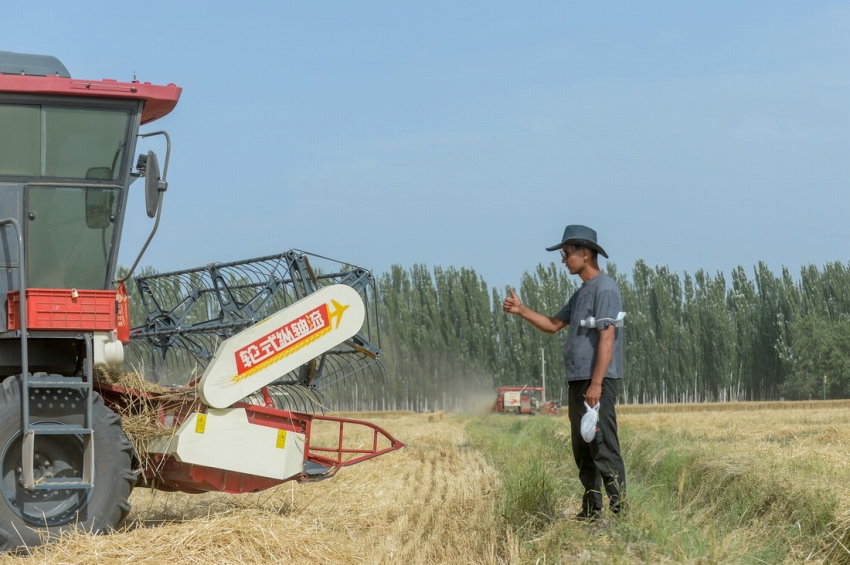 「商売道具」はリモコン！コンバインハーベスターで収穫作業(yè)を請け負う若者