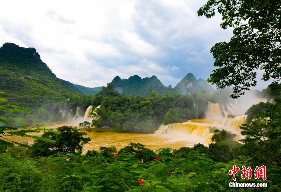 大迫力！アジア最大の國境を跨ぐ「徳天瀑布」が雨で「黃金の滝」に