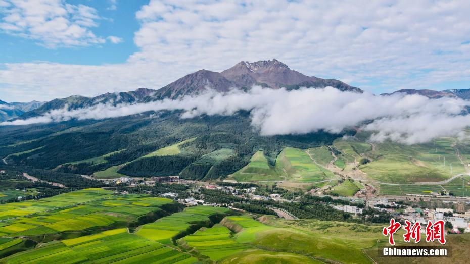上空から撮影した美しい祁連山の夏の風(fēng)景（ドローンによる撮影?李江寧）。