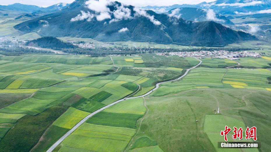 上空から撮影した美しい祁連山の夏の風(fēng)景　青海
